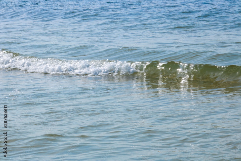 Fototapeta premium Wave