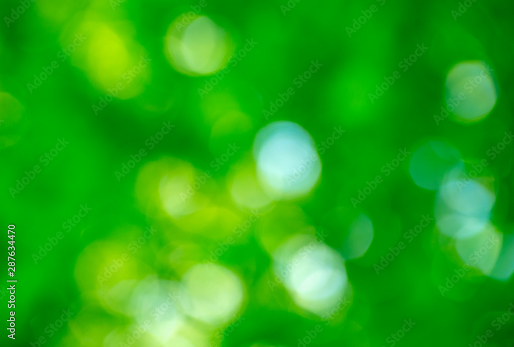 Green bokeh background from nature forest out of focus Green bokeh background from nature forest out of focus