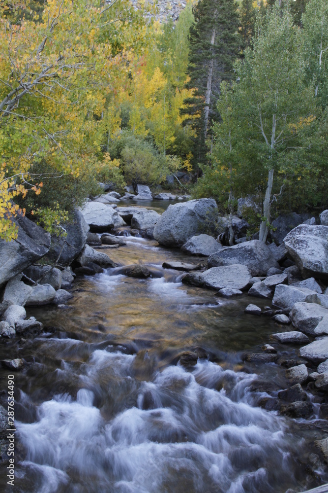 creek in forest creek in forest