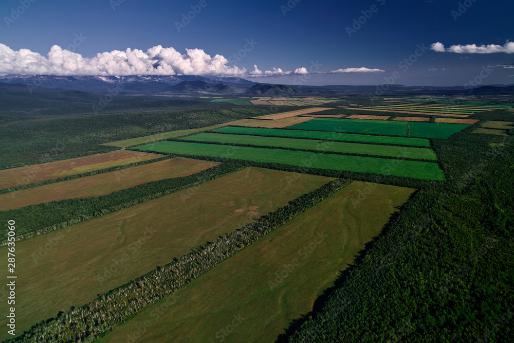 Aerial view of farm fields valley in the Kamchatka in Russia. Agricultural Landscape.