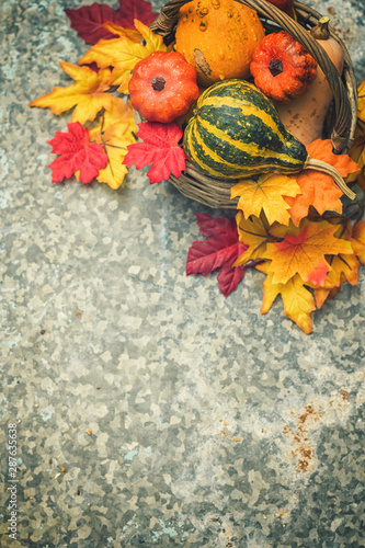 Autumn background with pumpkins and colorful leaves