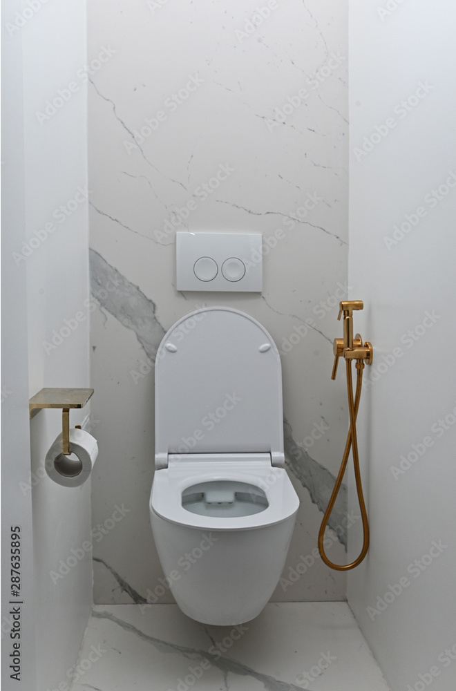 Toilet bowl in modern bathroom. modern toilet with gold accessories Stock  Photo | Adobe Stock