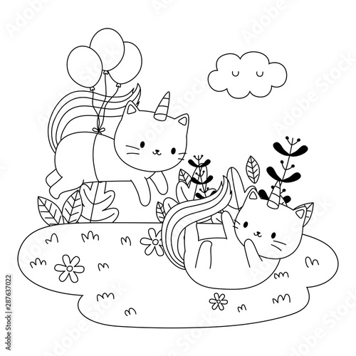 Photography Unicorn cats cartoons vector design