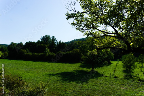 Green landscape coming out in the Lotoise countryside in France