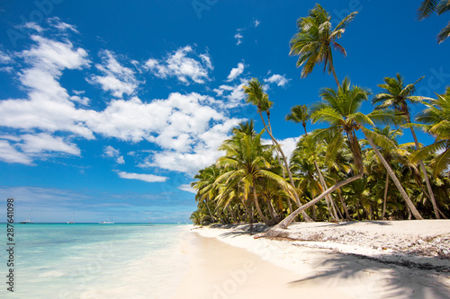 Fototapeta Naklejka Na Ścianę i Meble -  White sand beach with green tall palm trees and turquoise water. Saona Island Dominican Republic. The best beaches in the world