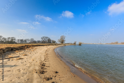 River banks and floodplain forests along the Maas River in the Dutch province of Gelderland with trees  shrubs  grasses with river beach and river dunes during winter against a clear blue sky