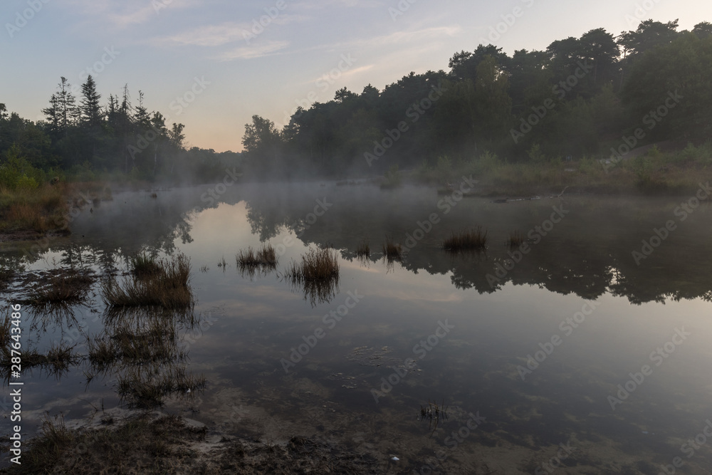 Brunsummerheide (translation Brunssumer meadows) a national park in South Limburg in the Netherlands with morning fog over the swamp during sunrise
