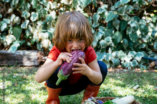 Cheerful caucasian blonde little girl eating an organic eggplant. Smiling and feeling happy. Eco food learning activity.