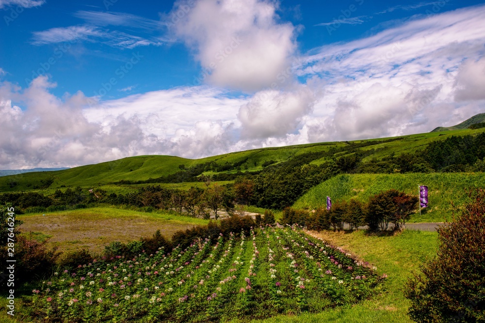 Fototapeta premium 瀬の本高原