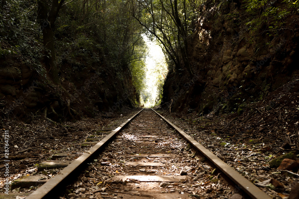 Naklejka premium estrada de ferro, trem, estrada secundária, trilha