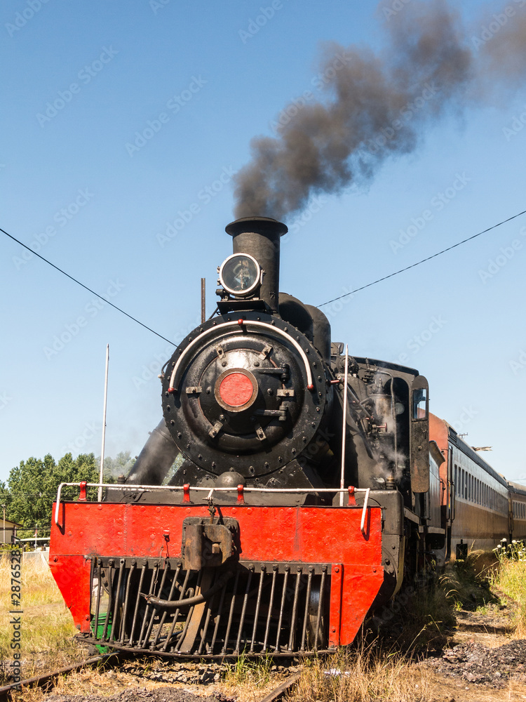Naklejka premium Tourist train called Valdiviano that runs from Valdivia to Antilhue with a 1913 North British locomotive type 57. Los Rios Region, in southern Chile.