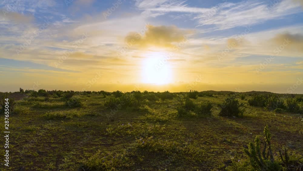 Time lapse of clouds over the landscape of the Llanos del Challe National Park during the flowering of the Atacama Desert Time lapse of clouds over the landscape of the Llanos del Challe National Park during the flowering of the Atacama Desert