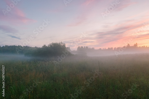 Mysterious and romantic view of a field with fog