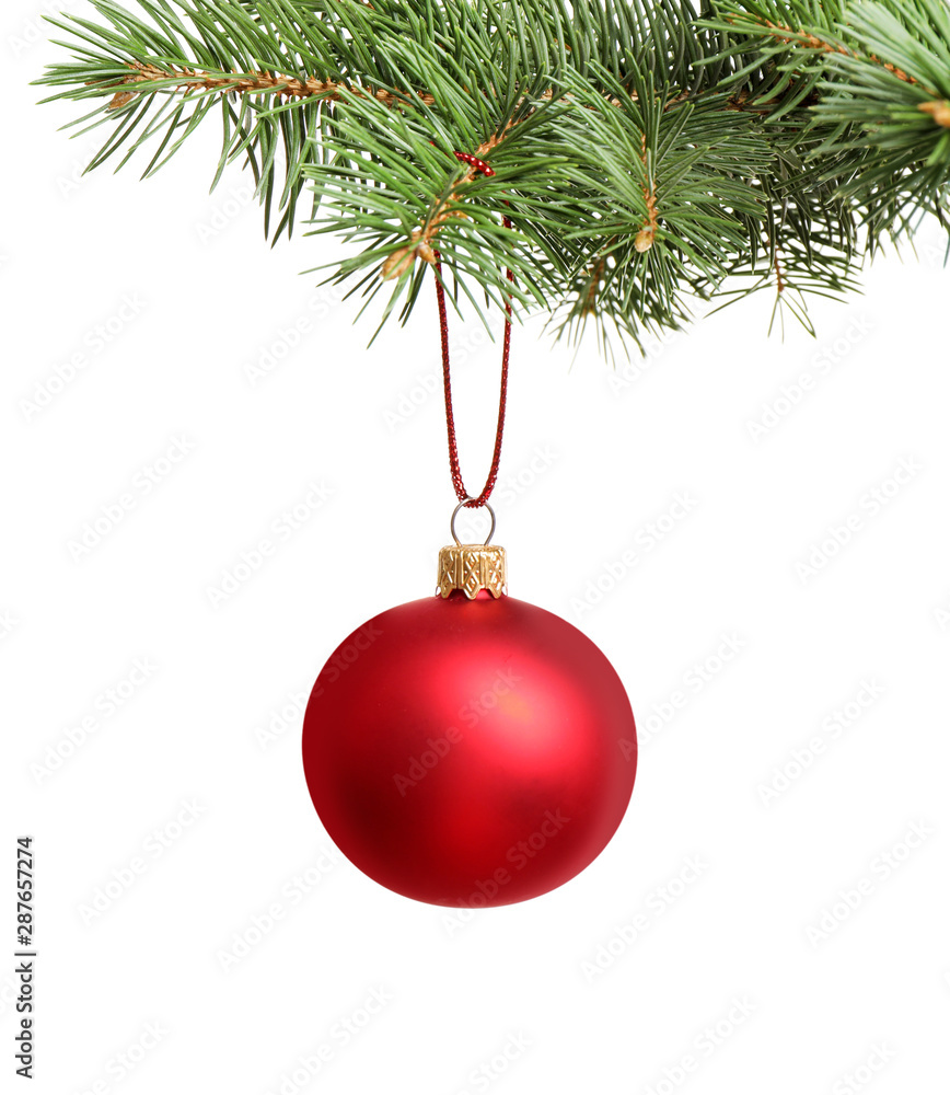 Red Christmas ball hanging on fir tree branch against white background Red Christmas ball hanging on fir tree branch against white background