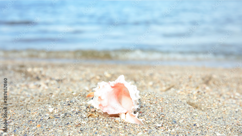 Beautiful starfish on sand near sea, space for text. Beach object Beautiful starfish on sand near sea, space for text. Beach object