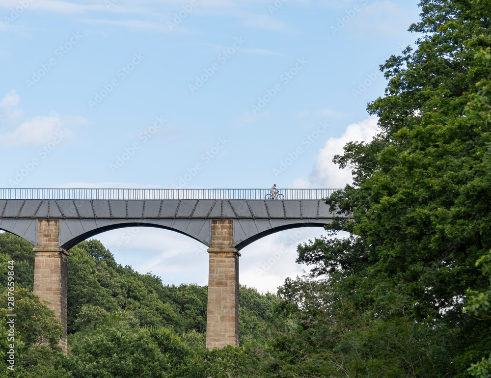 Fototapeta premium Aqueduct