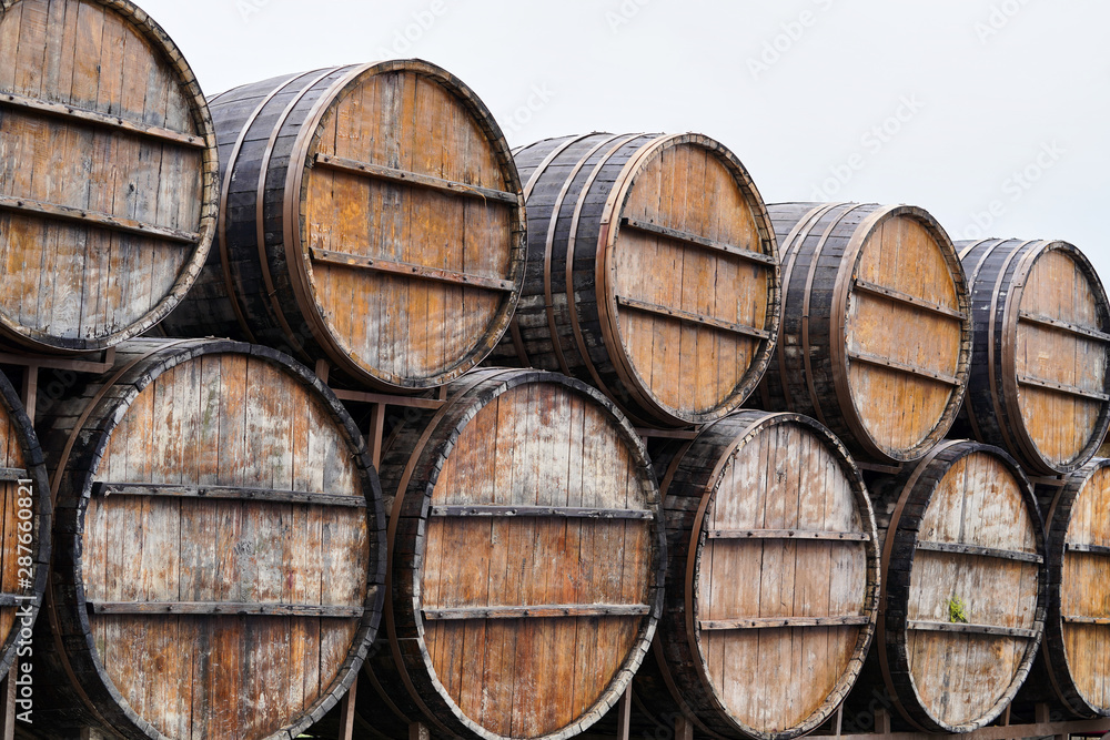 Old Wine barrels in vineyard, close-up. Winery, winemaking