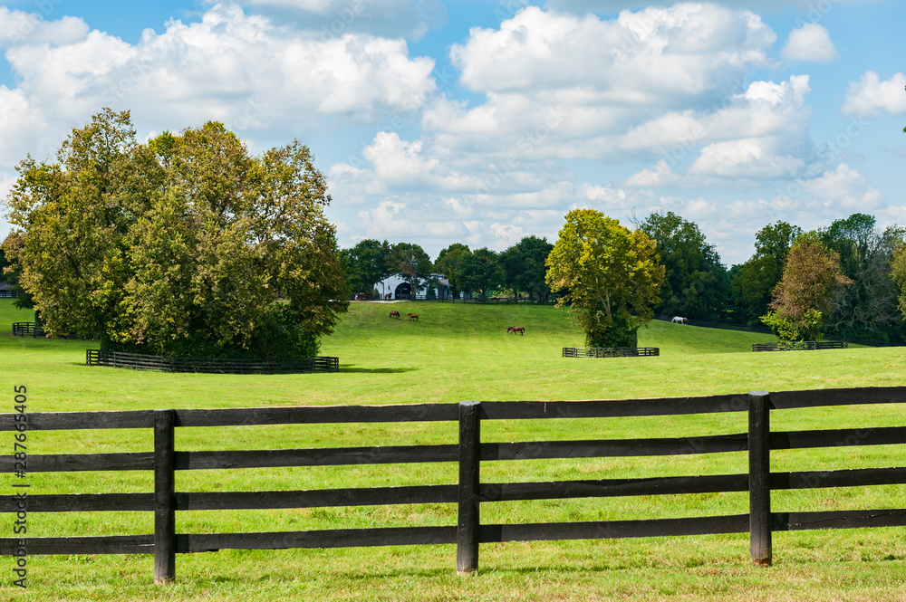 Horse Farm