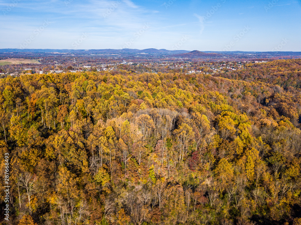 Aerial photo of colored fall forest