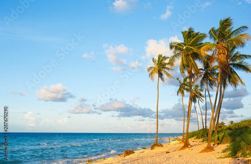 Fototapeta Naklejka Na Ścianę i Meble -  Ocean Scene with Palm Trees on the Atlantic Ocean in Cuba