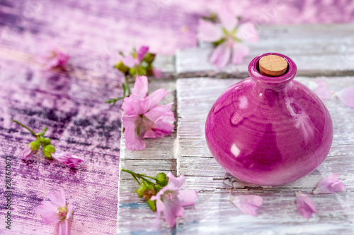 A bottle of common mallow essential oil with fresh blooming malva sylvestris plant