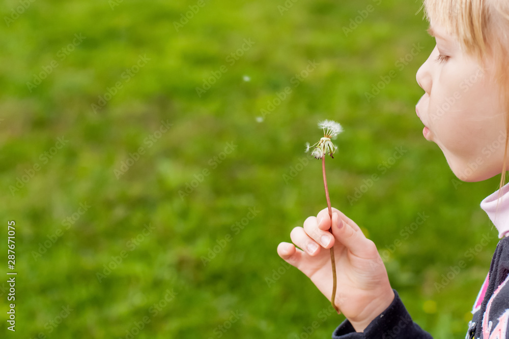 Close up of a girl blowing dandelion seeds across a fresh green background Close up of a girl blowing dandelion seeds across a fresh green background