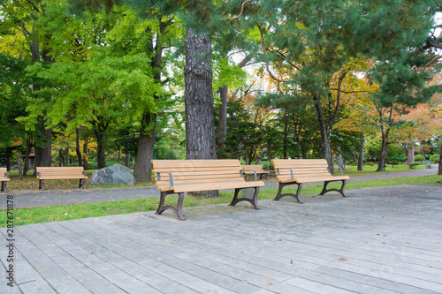 秋の公園のベンチ © kinpouge