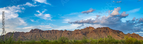 фотографія Tucson Mountain Park with Saguaro Cactus Panorama