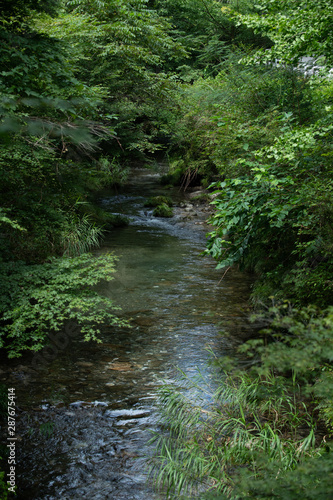 small river