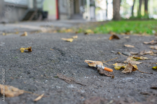 Slika na platnu cigarette butt lies on the asphalt path on the fallen autumn leaves
