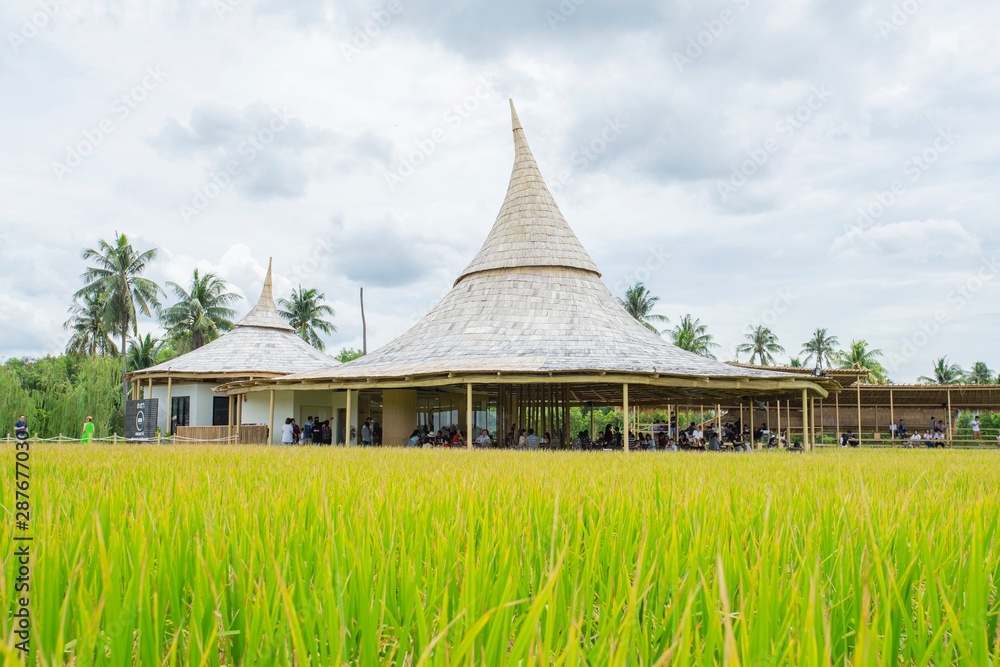 Fototapeta premium Chata Thammachart coffee cafe in a rice field in concept “With Nature Naturally”