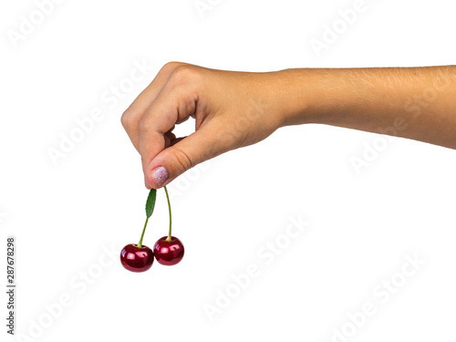 Two ripe cherries in a child's hand isolated on a white background. © kvladimirv