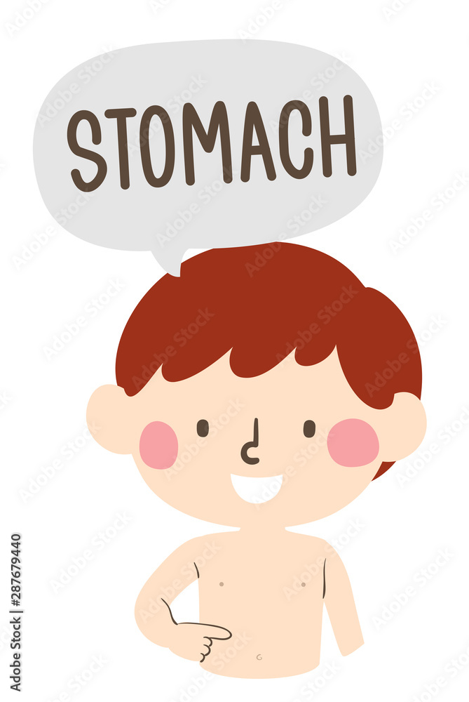 Kid Boy Naming Body Parts Stomach Illustration Kid Boy Naming Body Parts Stomach Illustration