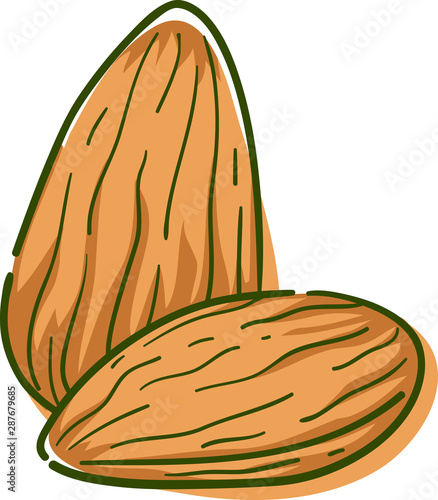 Almond Superfood Illustration