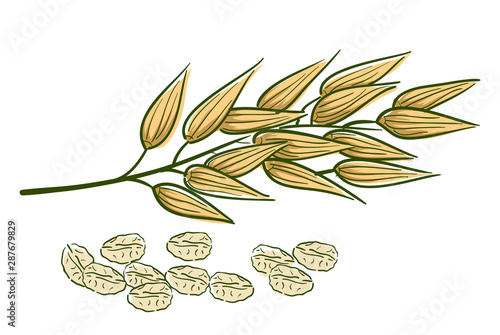 Oats Superfood Illustration