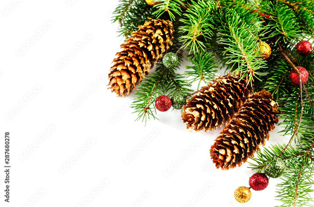 Christmas background with spruce branches and pine cones on white background.
