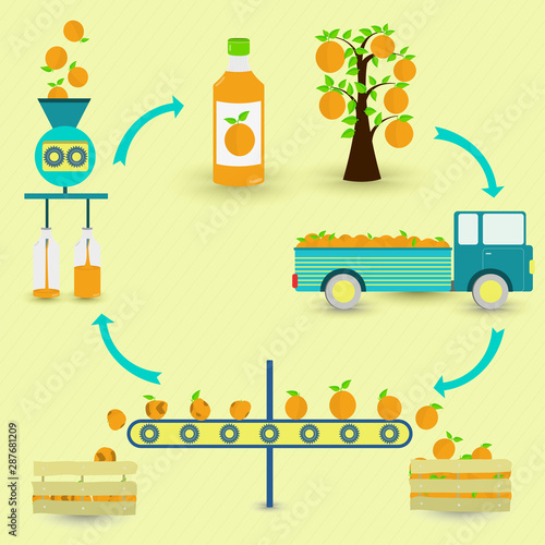 Orange juice production steps. Orange tree, harvest, transport, separation of healthy and rotten oranges, processed in factory and botted. In a circular scheme.