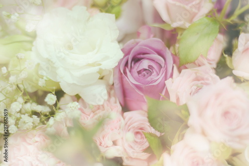 Close up beautiful Pink rose flower bouquet