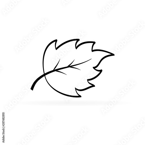 Fototapeta Naklejka Na Ścianę i Meble -  Leaf icon, logo. Spring, summer or autumn  symbol. Outline vector illustration.