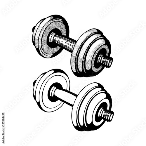 Dumbbell. Dumbbell hand drawn vector illustration. Weights sketch drawing.  