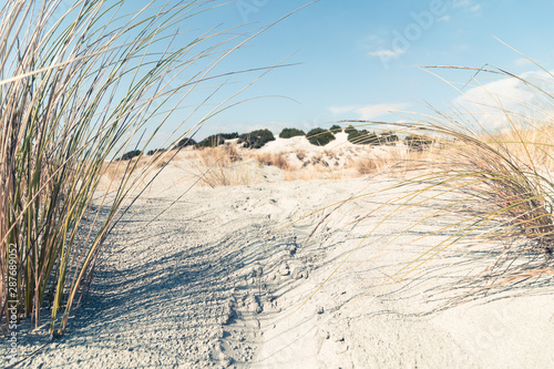 Dune di Sabbia di Porto Pino