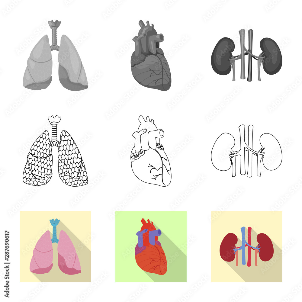 Fototapeta premium Vector design of body and human symbol. Set of body and medical vector icon for stock.