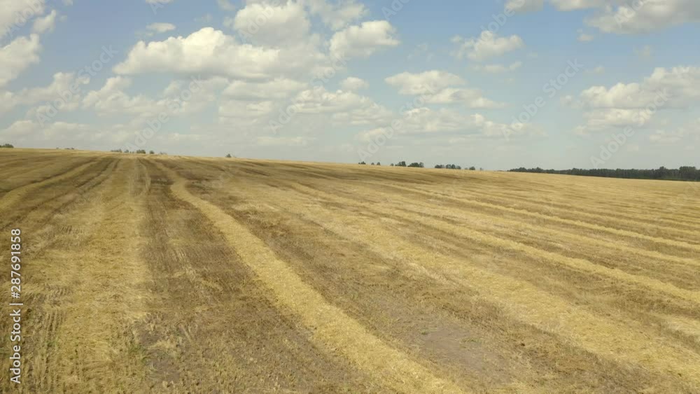 Aerial view. Field after the harvest of wheat. Harvesting of wheat in summer. View from above. View from drone.