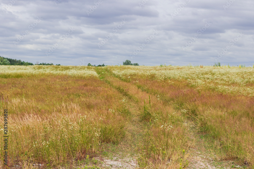 The road among the fields, flowers in the meadow, clouds in the sky. Background