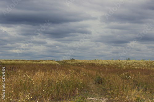The road among the fields, flowers in the meadow, a dark stormy sky. Background