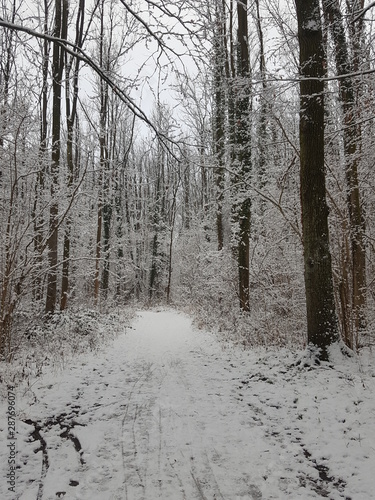 Winteridylle in Westfalen