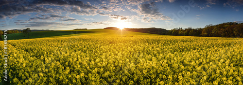 Rape Field Landscape at Lower Silesia/Poland