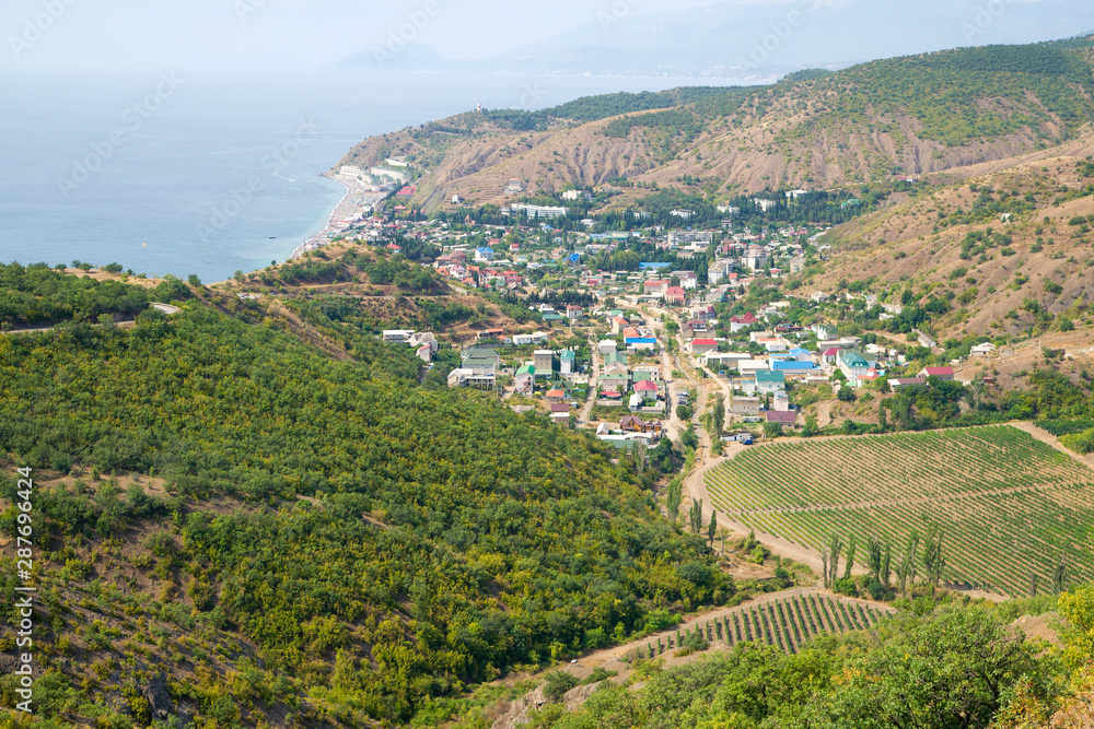 Beautiful vineyards in the mountains of Crimea overlooking the sea