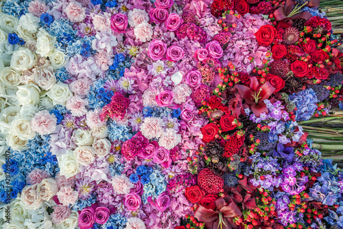 Fototapeta Naklejka Na Ścianę i Meble -  Flowers background. Flower arrangement of roses, cornflowers, carnations and hydrangeas. Flowerbed, top view, copy space. Gretting card, postcard.