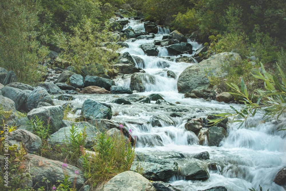 waterfall in forest waterfall in forest